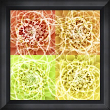 Framed Scribbles Print