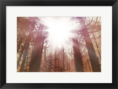 Framed Sun Dance Print