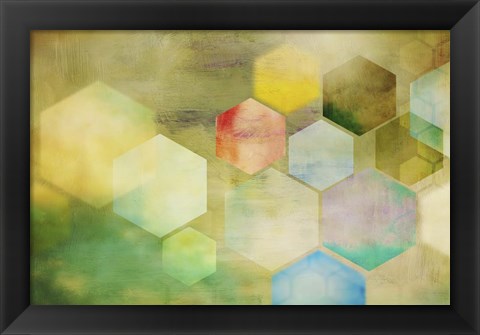 Framed Honeycomb I Print