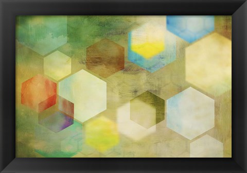 Framed Honeycomb II Print