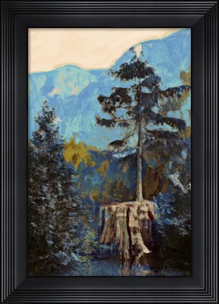 Framed Pine on Blue Print
