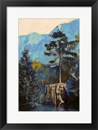 Framed Pine on Blue Print