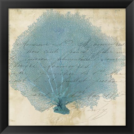 Framed Blue Coral IV Print