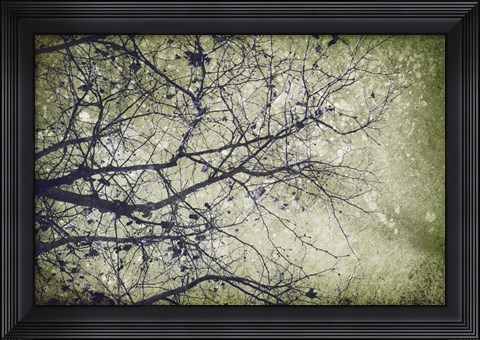 Framed Collage E Print