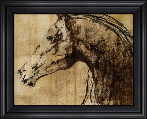 Framed Stallion I - Print on Demand Print