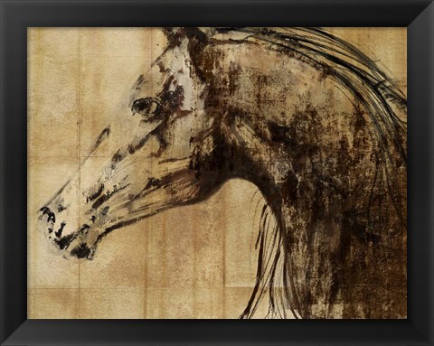 Framed Stallion I - Print on Demand Print