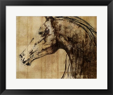 Framed Stallion I - Print on Demand Print