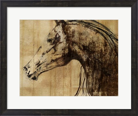 Framed Stallion I - Print on Demand Print