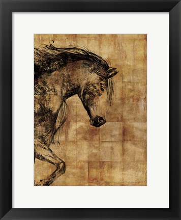 Framed Stallion I - Print on Demand Print