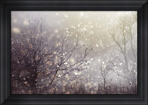 Framed Atmospheric I Print