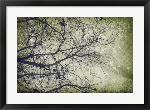 Framed Atmospheric II Print