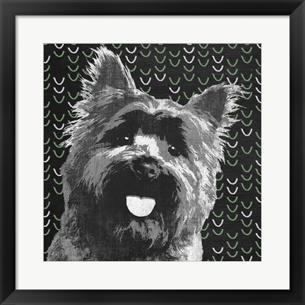 Framed Yorkie Print