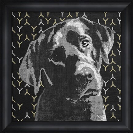 Framed Lab Print
