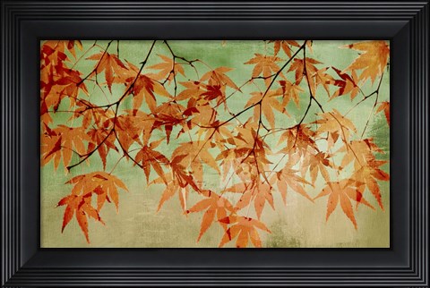 Framed Canopy Print