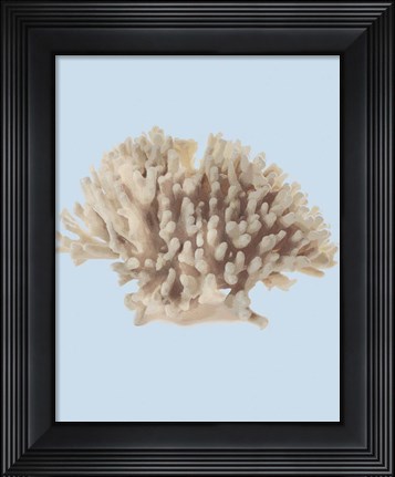 Framed Coral I Print