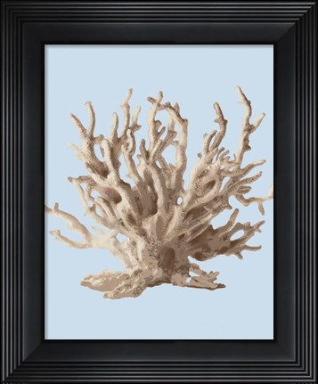 Framed Coral II Print
