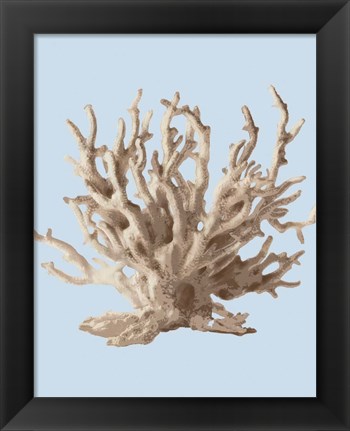 Framed Coral II Print