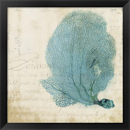 Framed Blue Coral II Print