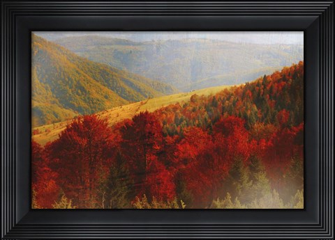 Framed Crimson Country Print