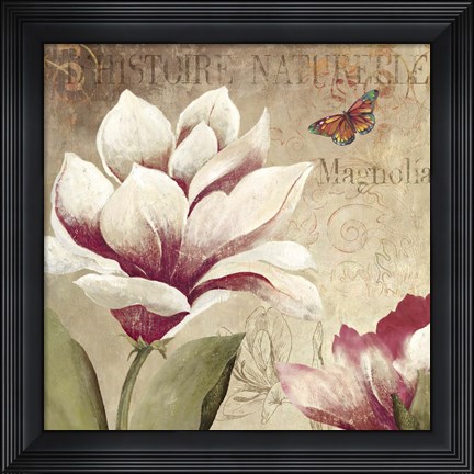 Framed Magnolia Print
