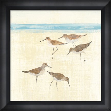 Framed Sandpipers Square II Blue Print