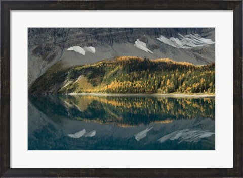 Framed Floe Lake Print