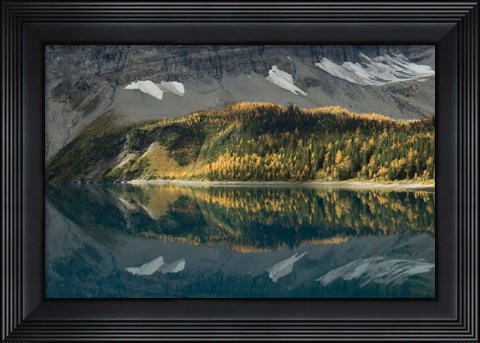 Framed Floe Lake Print