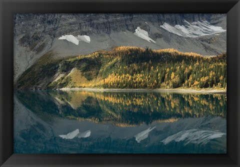 Framed Floe Lake Print