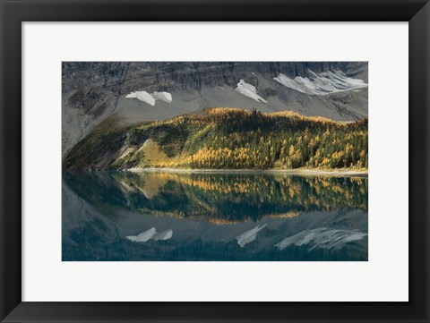 Framed Floe Lake Print