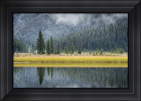 Framed Waterfowl Lake II Print
