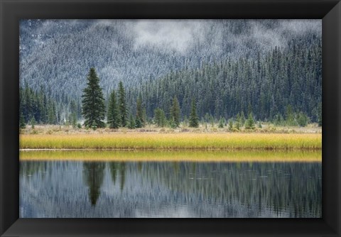 Framed Waterfowl Lake II Print