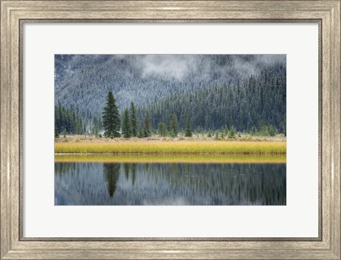 Framed Waterfowl Lake II Print