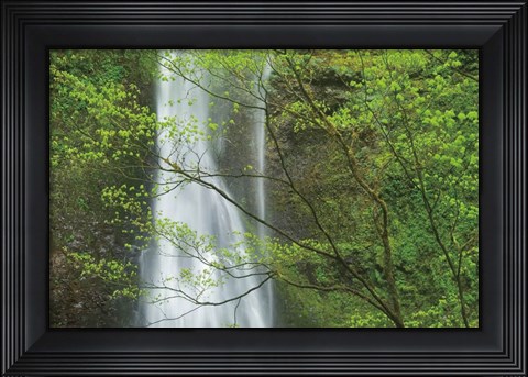Framed Double Falls II color Print