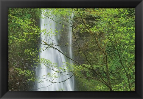 Framed Double Falls II color Print