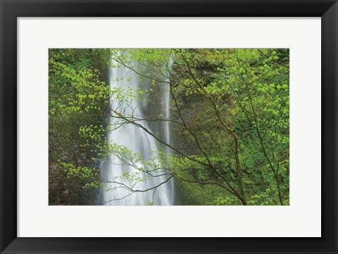 Framed Double Falls II color Print