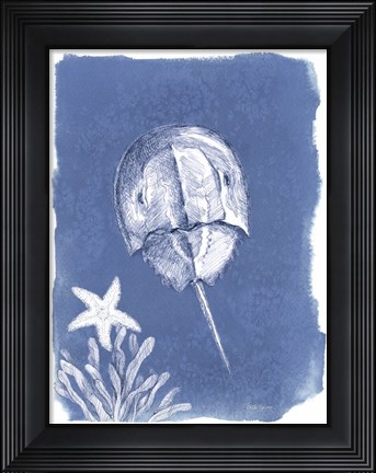 Framed Coastal Sea Life VI Print