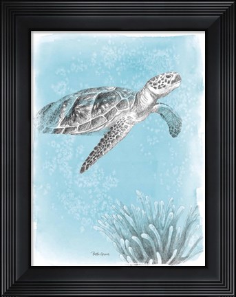 Framed Coastal Sea Life I Print
