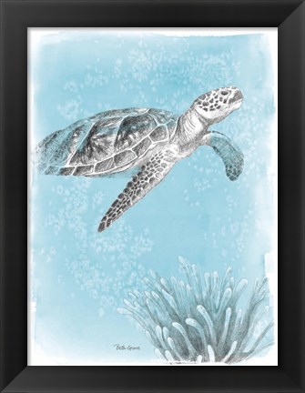 Framed Coastal Sea Life I Print