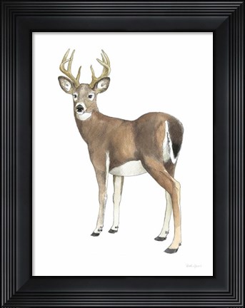 Framed Wilderness Collection Deer II Print