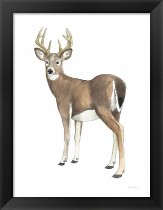 Framed Wilderness Collection Deer II Print