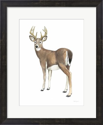 Framed Wilderness Collection Deer II Print