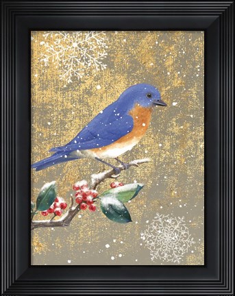 Framed Winter Birds Bluebird Color Print