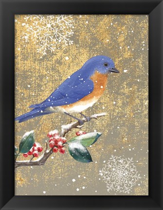 Framed Winter Birds Bluebird Color Print