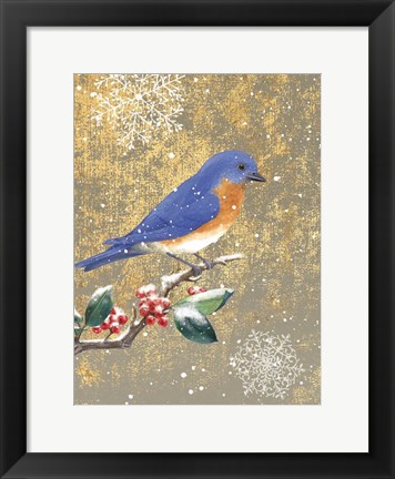 Framed Winter Birds Bluebird Color Print