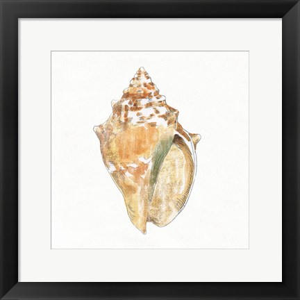 Framed Golden Treasures V on White Print