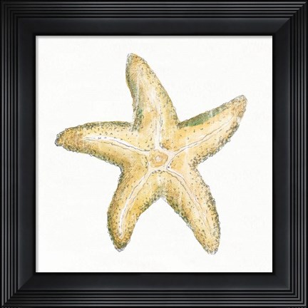 Framed Golden Treasures VI on White Print