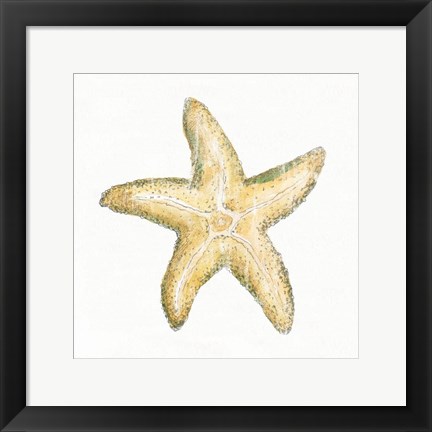 Framed Golden Treasures VI on White Print