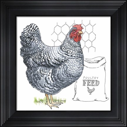 Framed Fun at the Coop III Print