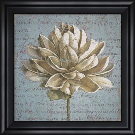 Framed Seed Pod I no Stamp Print