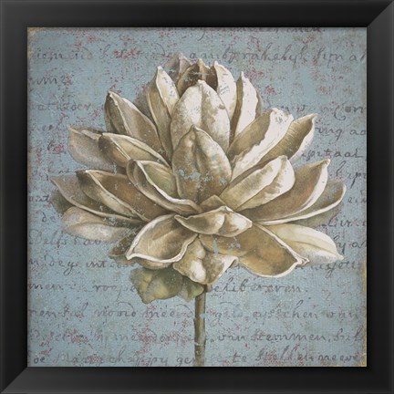 Framed Seed Pod I no Stamp Print